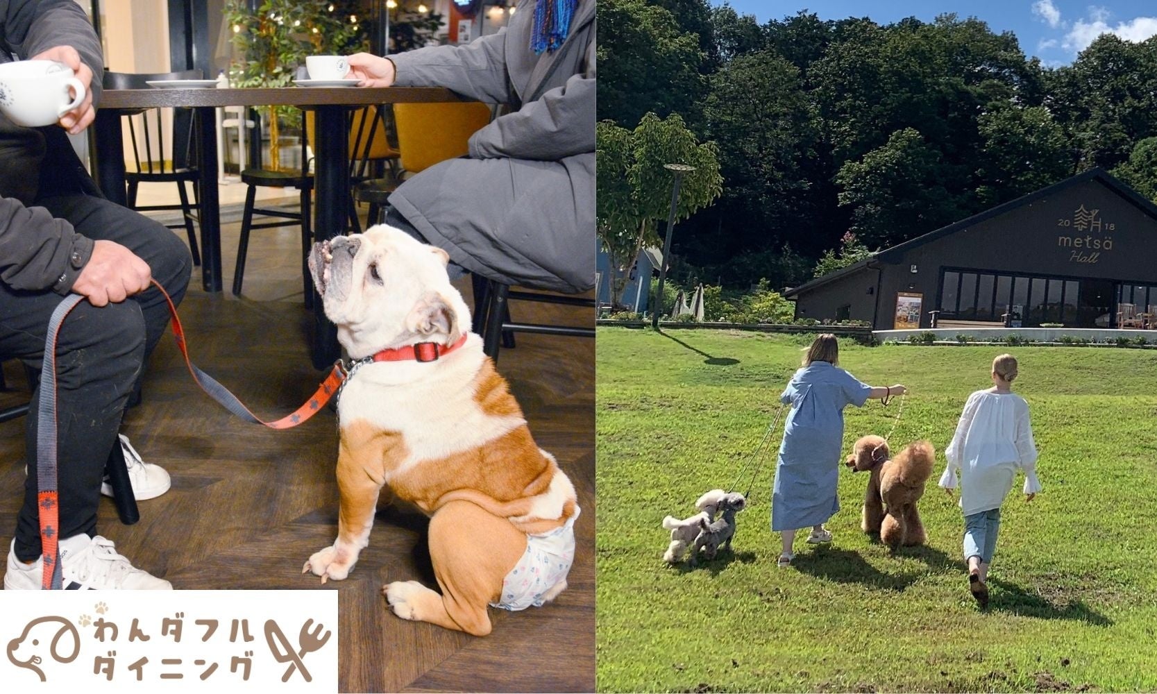 愛犬を連れて室内で食事ができる「わんダフル ダイニング」を期間限定で開催！この春のドッグイベント・グッズ・フードが盛りだくさんなメッツァに出かけよう