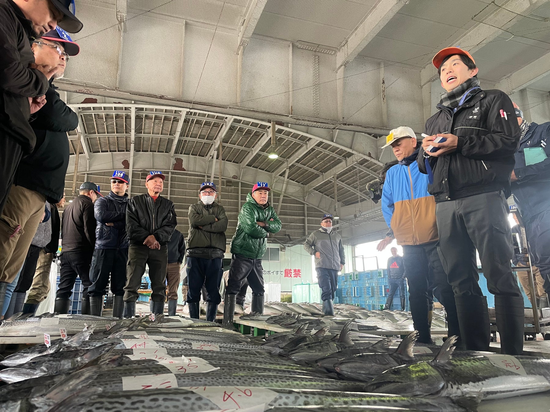 今シーズンの「特選京鰆」の出荷が開始！旬を迎えた京都の冬の味覚を全国へ