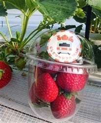 「にしてつベジフルTRAIN」の取り組みを開始します