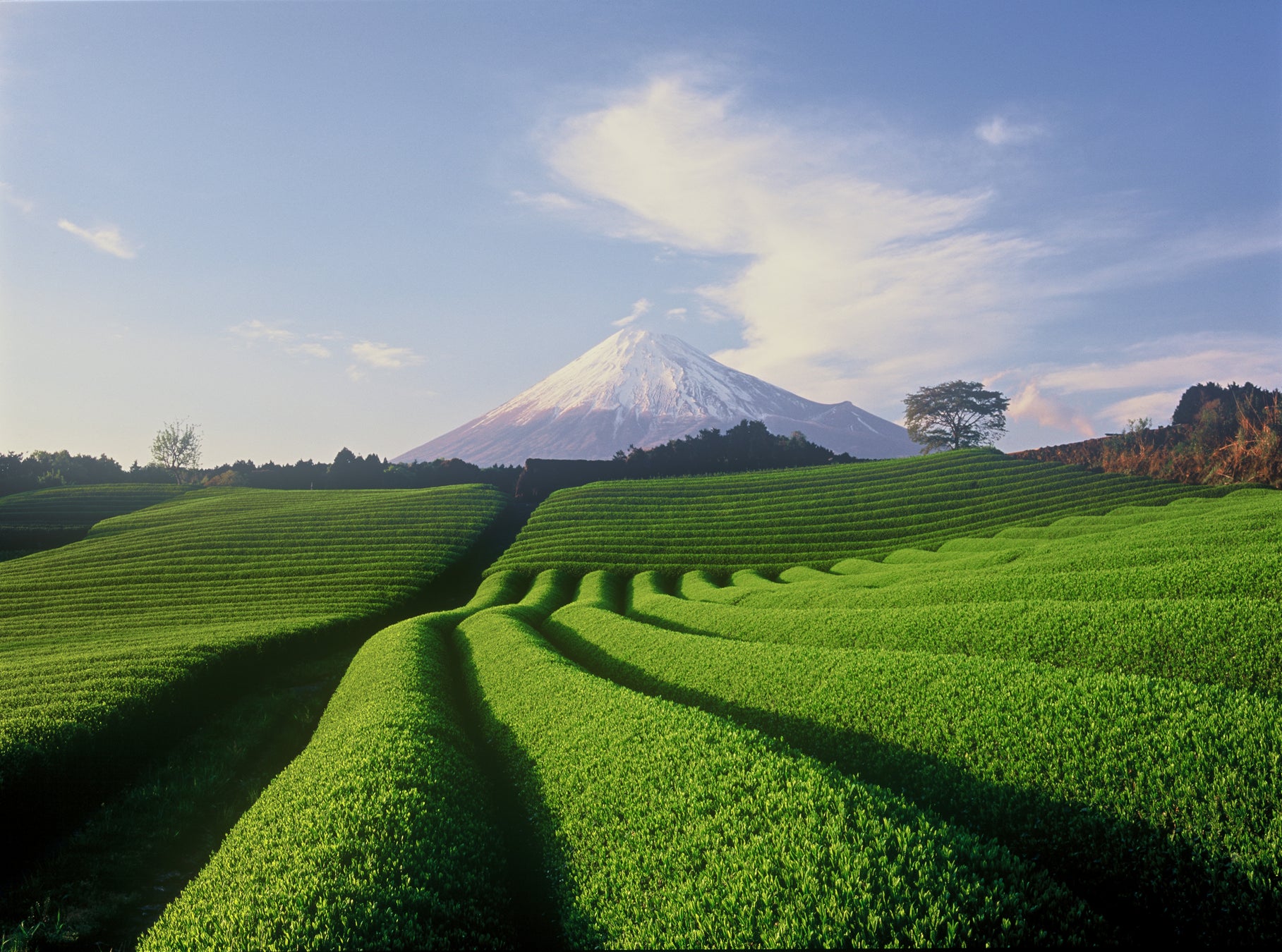 キャラメル菓子専門店「CARAMER」が高島屋大阪店に登場！ バレンタイン限定「CARAMERギフトボックス」も登場