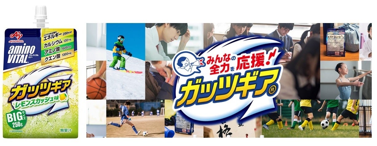 大好評のアメージングカンロシリーズ第3弾カンロ「スノーマロウ（snow mallow）」再販売決定