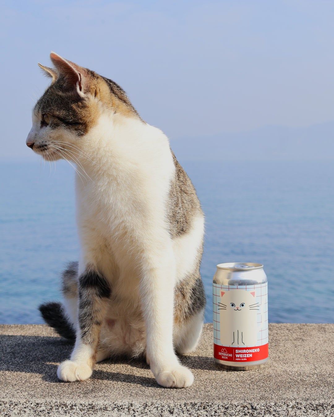 猫の日は『しろねこビール』で乾杯！愛猫柄に“落書き”カスタム、香川発の「SHIRONEKO WEIZEN」を発売