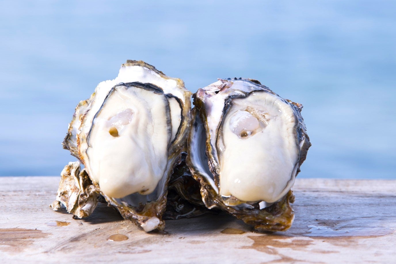 冬の旨みを堪能する本格スペイン美食「SPANISH DINING Rico」が銀座三越に期間限定で出店