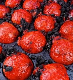 【アスリートの未来を“食”で支える】柴田ハム食品、「にくもっと」を通じてプロテニス選手・松井俊英選手の個人スポンサーに就任