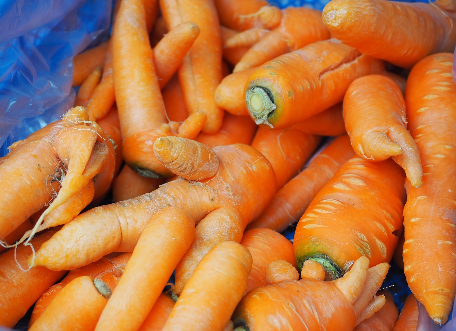 災害時の「野菜不足」を解決へ。未利用野菜で作る“温めずに食べられる”野菜料理の缶詰、地域連携で開発