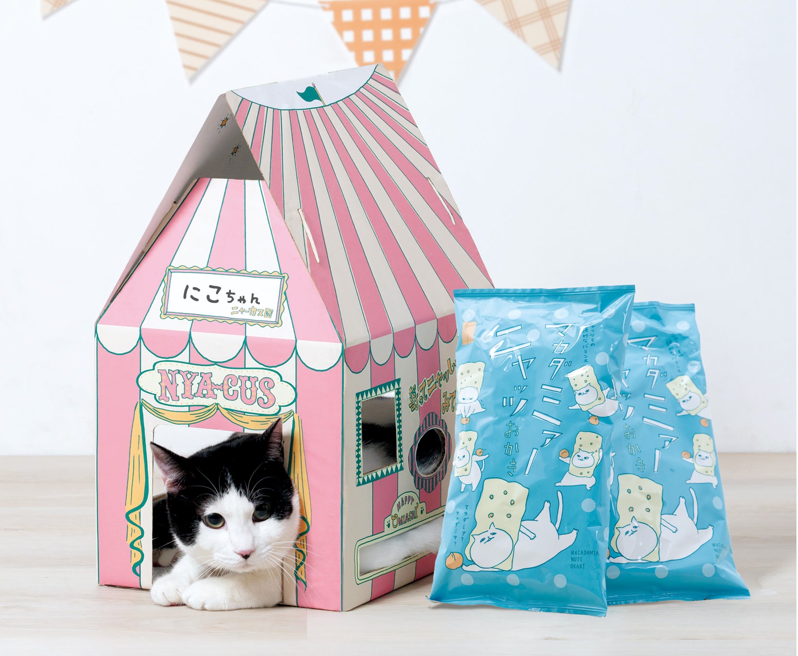 ネコ好き社員がネコ目線で考案 ２.22(ニャンニャンニャン）【猫の日】に愛でて楽しい、食べて美味しい オリジナルネコ柄『マカダミアニャッツＢＯＸ』2月4日より発売