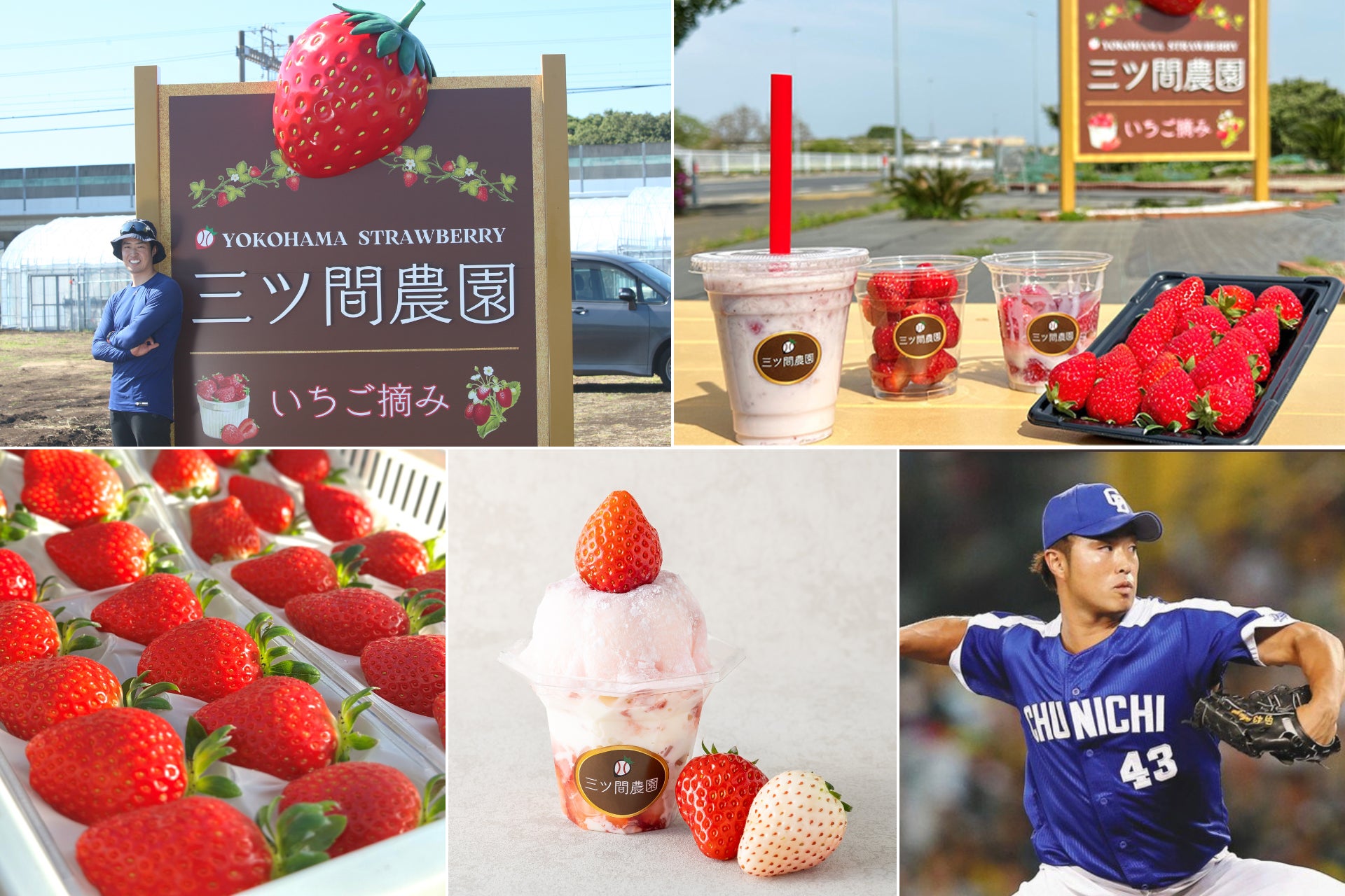 【横浜高島屋】元プロ野球選手の三ツ間卓也が愛情を込めて育てあげた「いちご」ショップが2月1日（日）にオープン！ご本人が来店して販売も！