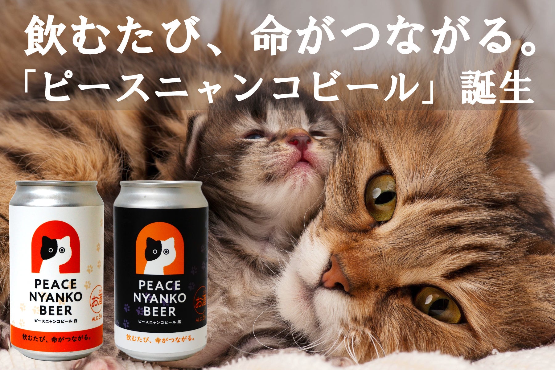 「飲むたび、命がつながる。」飲んで猫を助ける『ピースニャンコビール』がクラウドファンディングで発売開始！