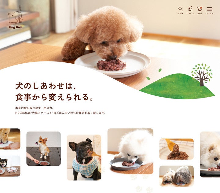 【MMテラス初開催】いちごとチョコの体験イベント開催|親子も大人も楽しめるSweet Days