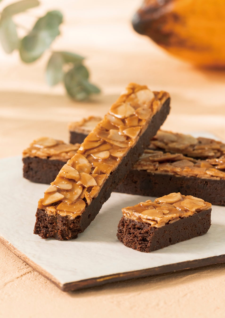 千駄ヶ谷エリアの中小企業が連携、コーヒー領域で障害者の新たな職域開発を開始〜コーヒーバッグ「花咲くブレンド」2月正式販売開始