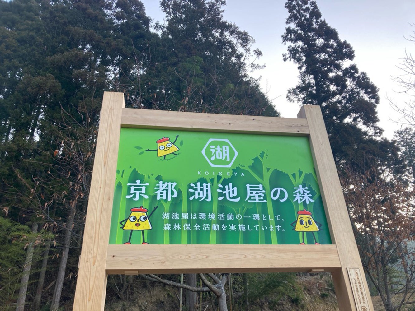 京都・南丹の豊かな自然を育む「京都 湖池屋の森」森林保全活動を本格始動～間伐材でできたオリジナルコースターが当たるキャンペーンも実施～