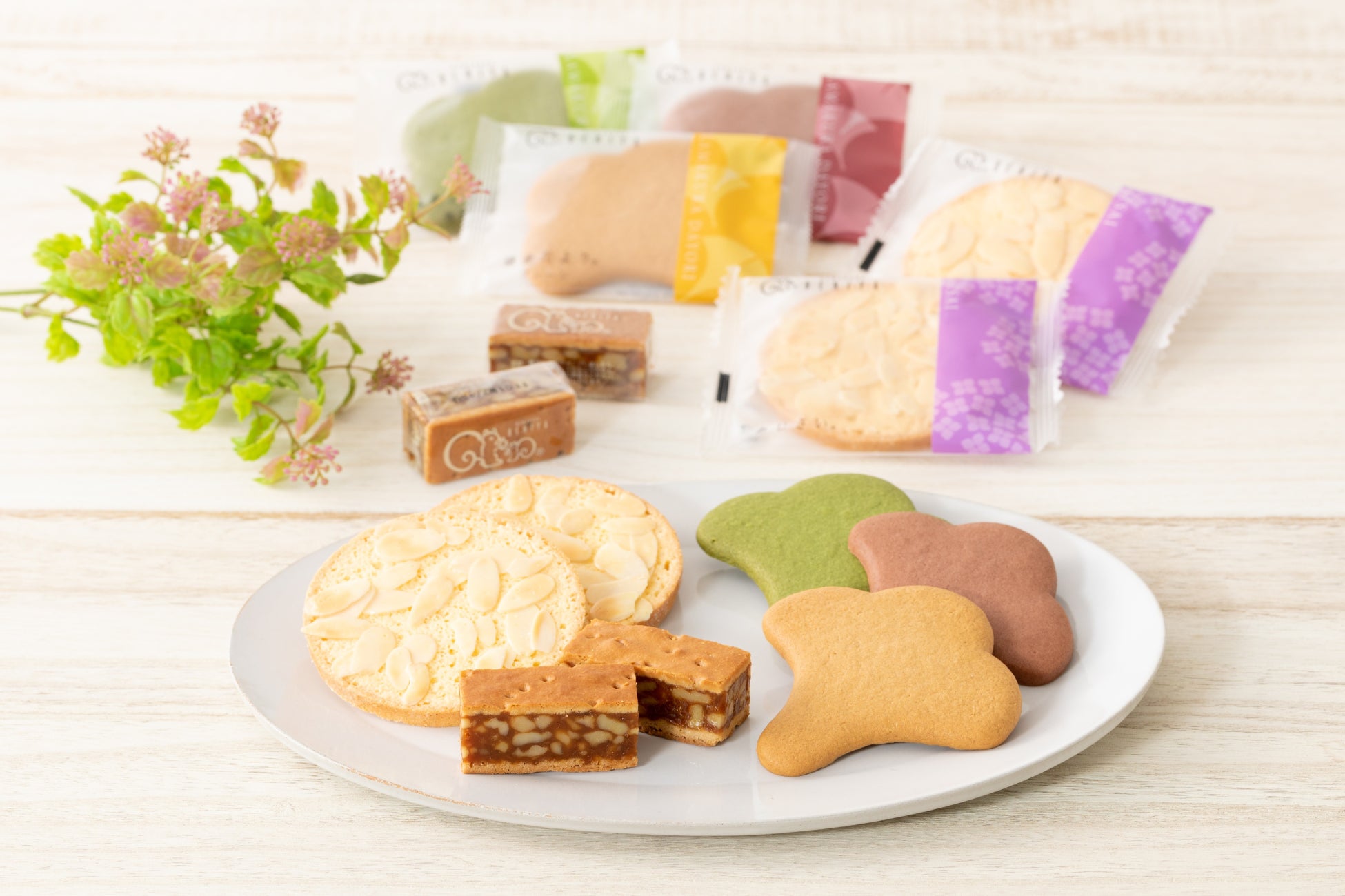 2026年3月4日(水) 日本橋三越本店にオープン ​「鎌倉紅谷 日本橋三越本店」​​ 定番商品のほか「はちまんじゅう」やオープン記念商品の「クルミミ」が登場！