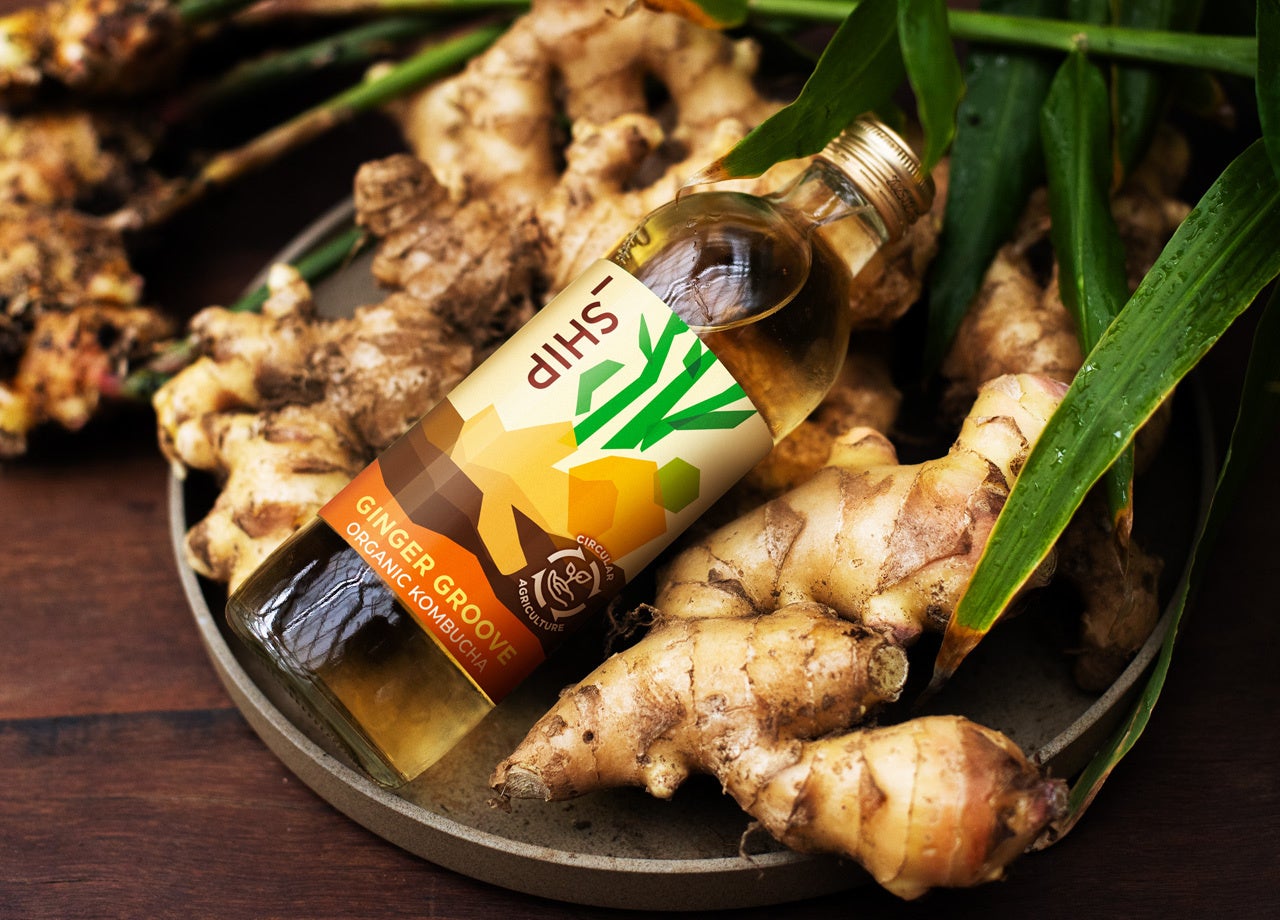 追加生産決定！「_SHIP KOMBUCHA」ご好評につき季節限定「GINGER GROOVE」を2月6日（金）より販売を再開いたします 〜数量限定で再生産、全国の店舗で順次発売〜