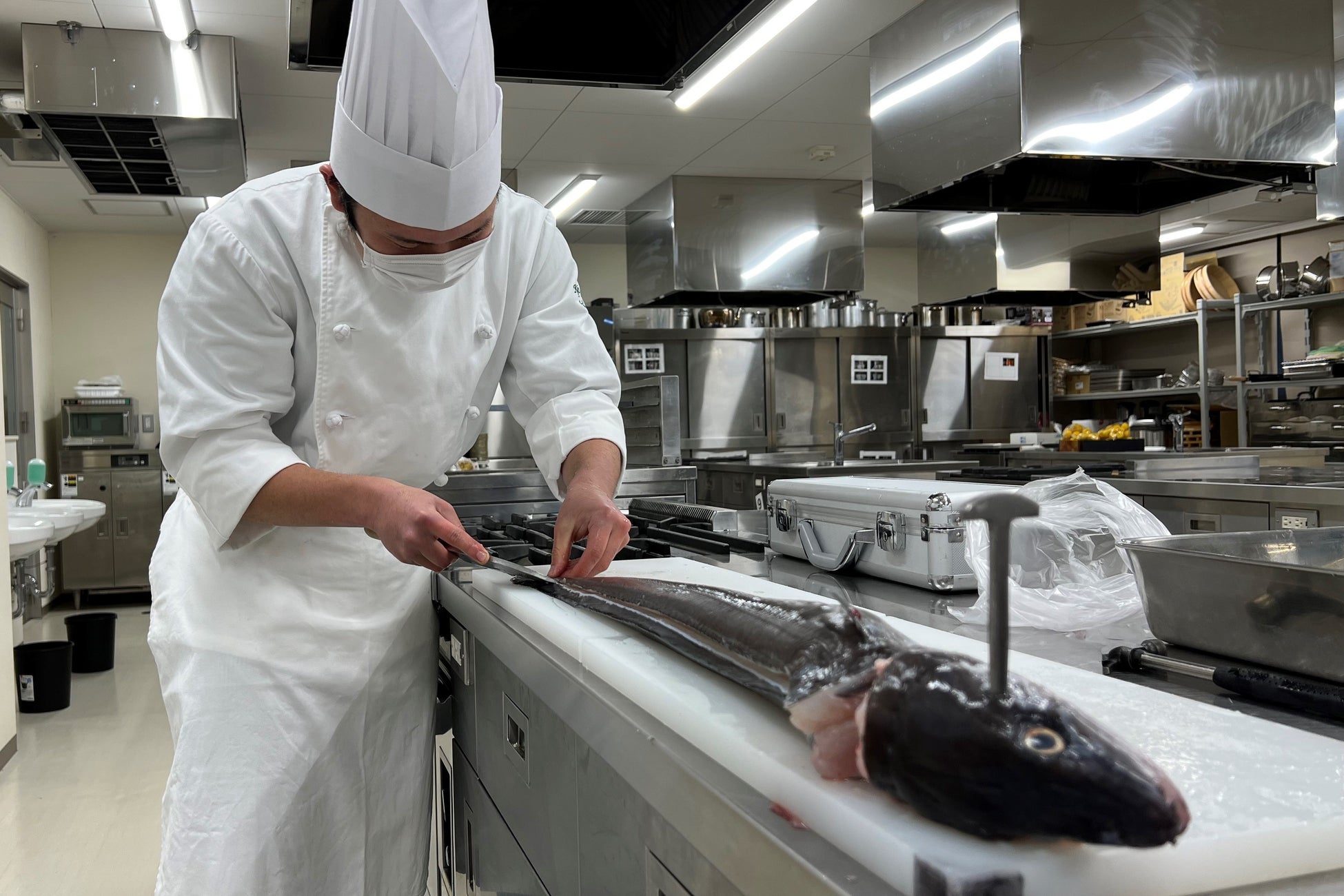 調理技術教育学会『食品ロス!?』オンラインセミナー開催