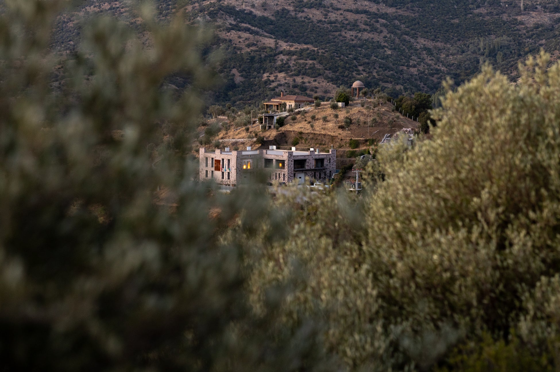 トルコ発プレミアムオリーブオイル「Buta Assos」日本上陸