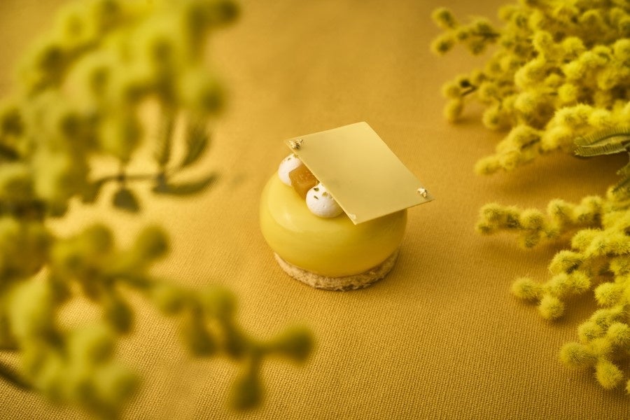 都ホテルズ＆リゾーツ19施設が、女性の#HAPPYを応援 「国際女性デー｜HAPPY WOMAN FESTA 2026」