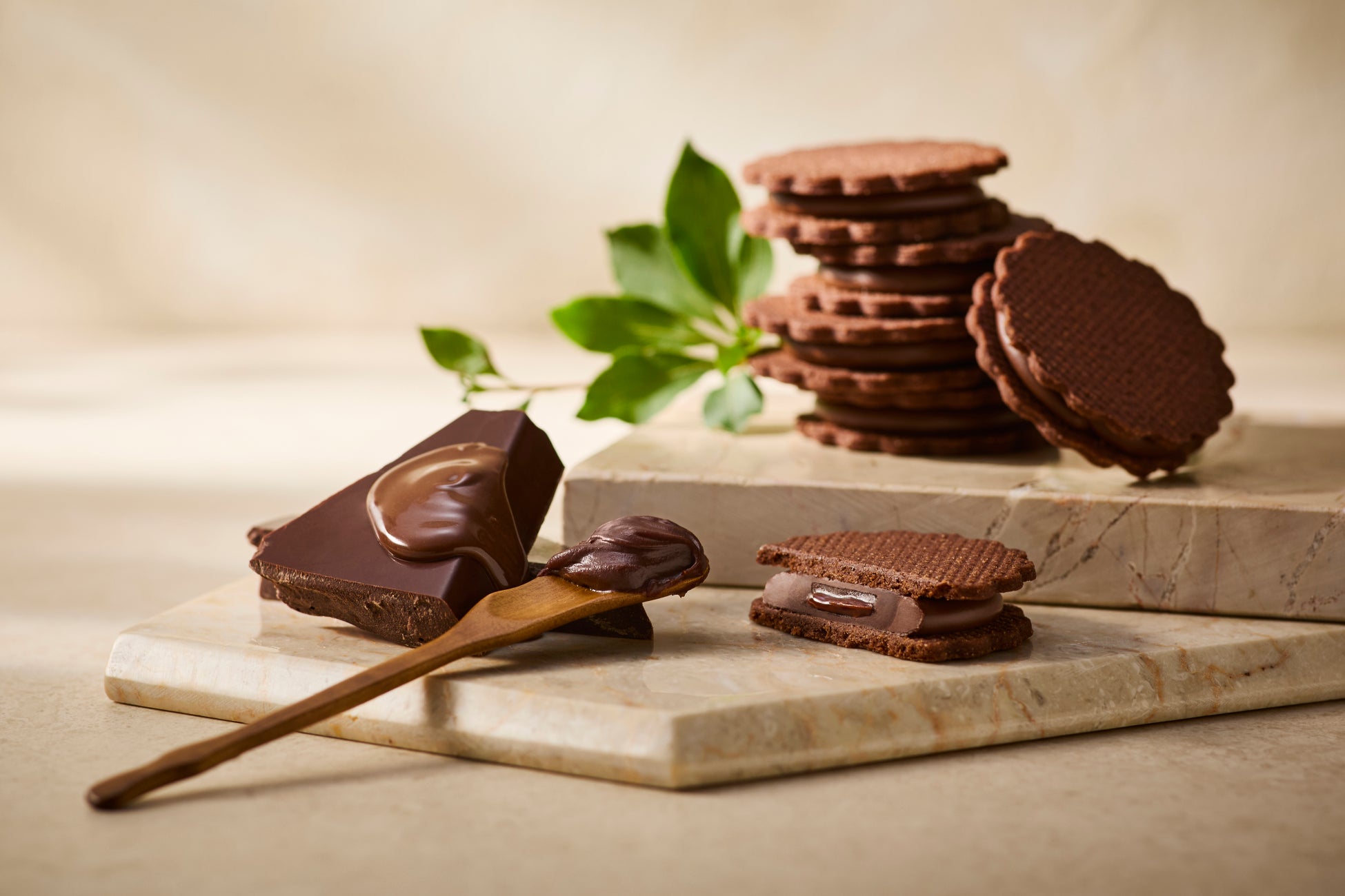 2026年2月16日（月）より一部百貨店にて3層のショコラを、香り豊かなココアクッキーでサンドした、「ショコラサンド」が新発売！