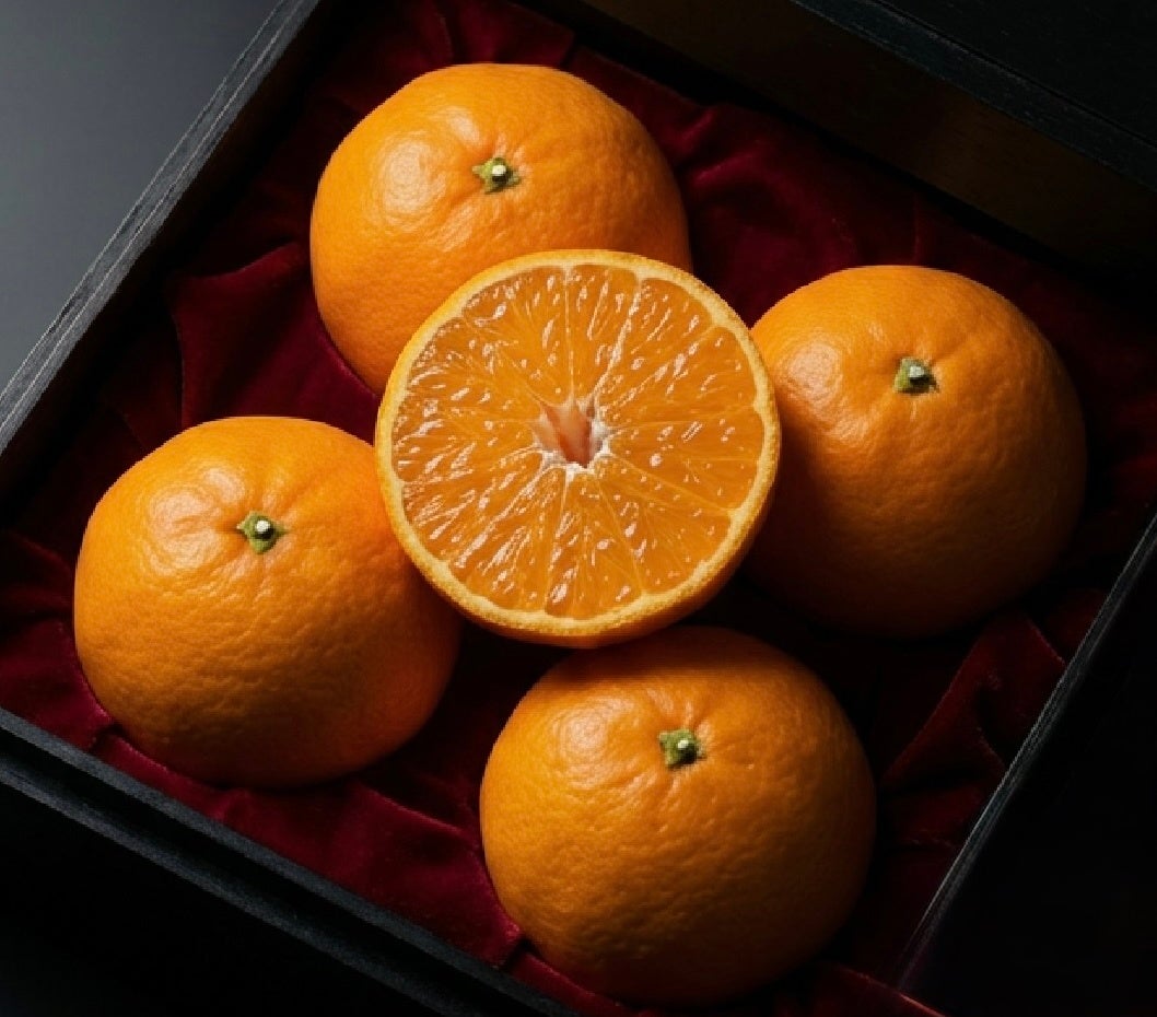 【愛媛限定栽培】“愛媛で人気の隠れ名品”、全国ではまだ希少な柑橘『甘平（かんぺい）』—老舗農園「かじ坊」より産地直送で数量限定発売