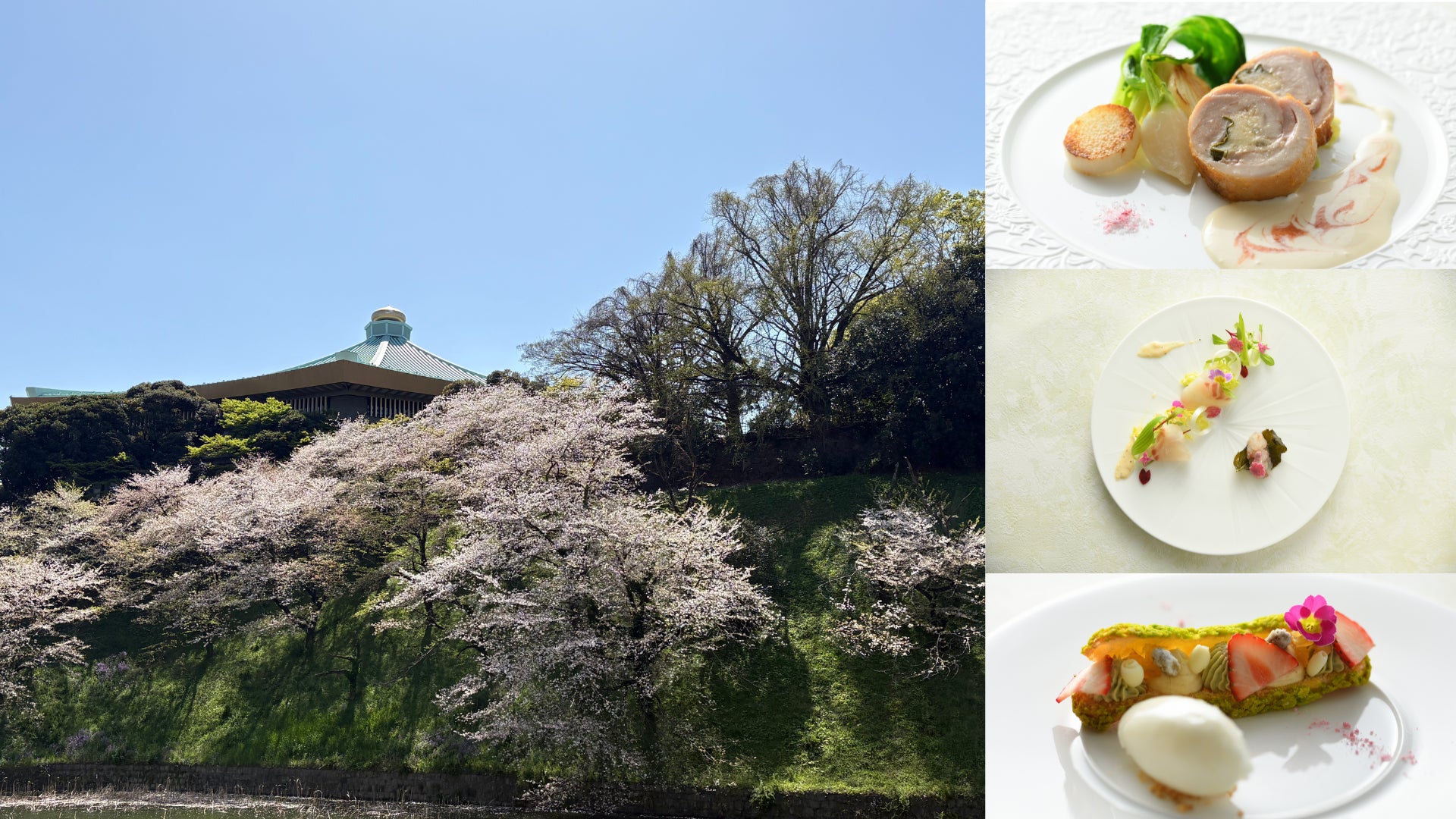 皇居の桜を独り占めのとっておきお花見スポット　VMG CAFE 九段会館テラス 「桜づくしコース」　3月23日（月）〜4月5日（日）に期間限定で提供