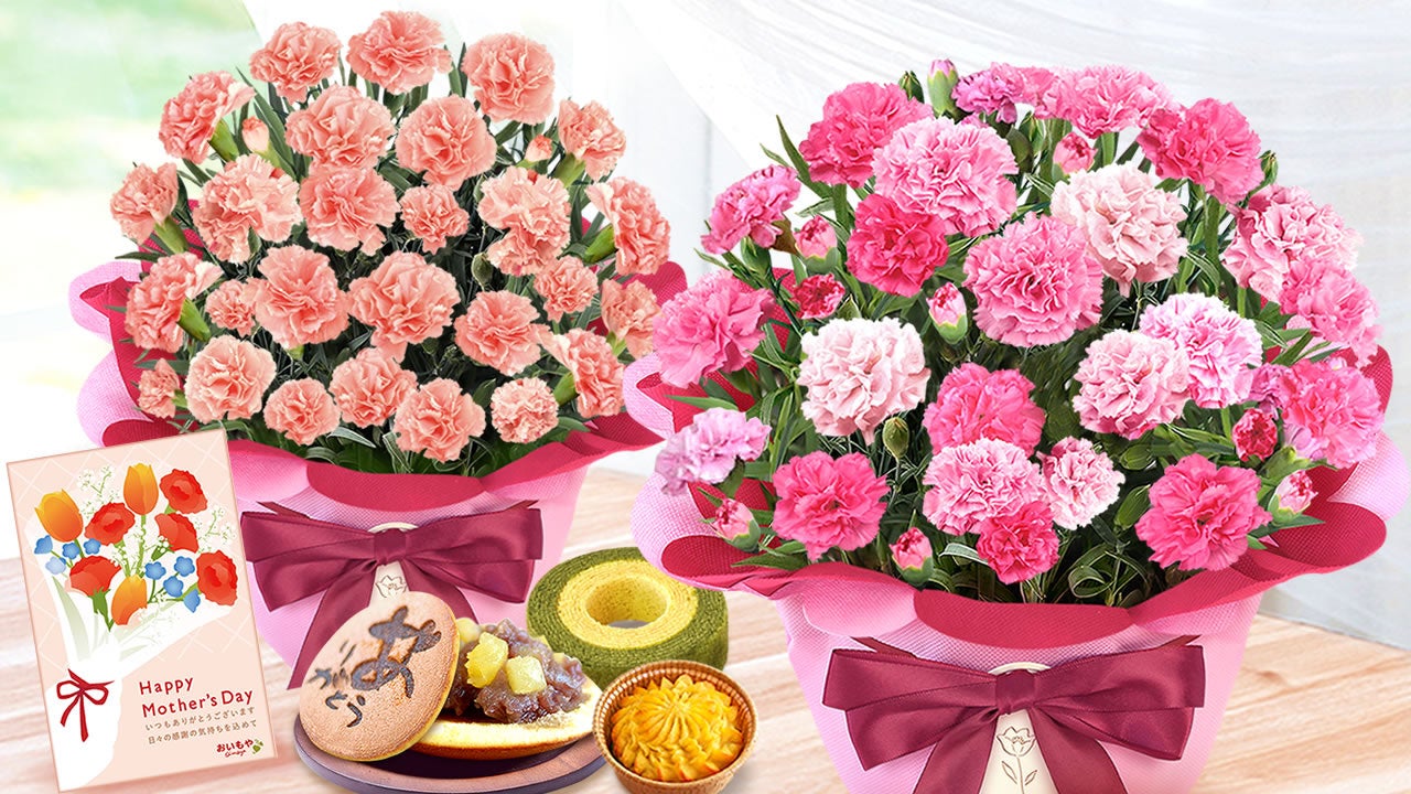 JAFCA発表の2026年の色「ハートフェルト・ピンク」を体現するカーネーションが登場。選べるスイーツとセットで贈る母の日ギフト、予約販売を開始