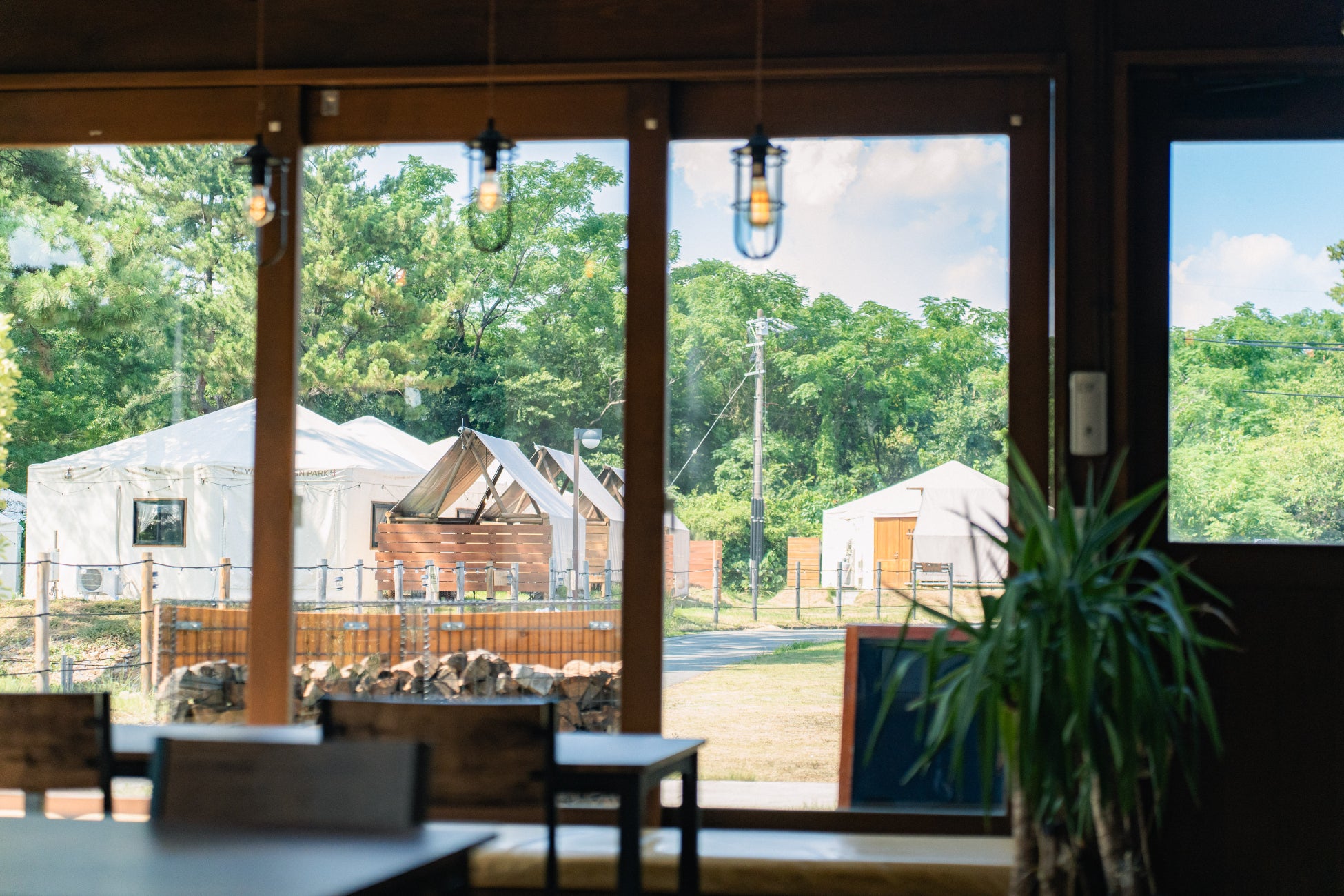 【愛知県美浜町】「冬の味覚が、予約で進化する」ウッドデザインパーク野間の牡蠣小屋で、5名以上限定『牡蠣グラタン無料キャンペーン』を開催