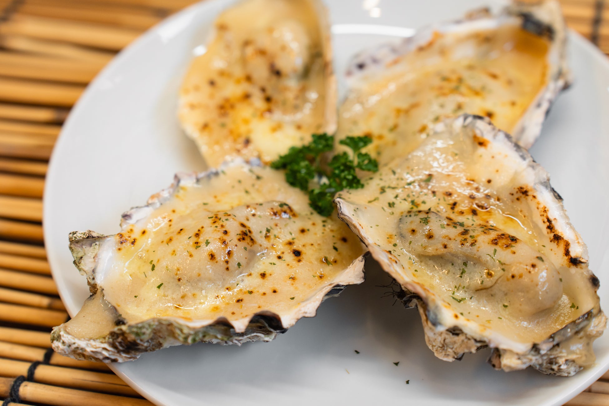 【愛知県美浜町】「冬の味覚が、予約で進化する」ウッドデザインパーク野間の牡蠣小屋で、5名以上限定『牡蠣グラタン無料キャンペーン』を開催