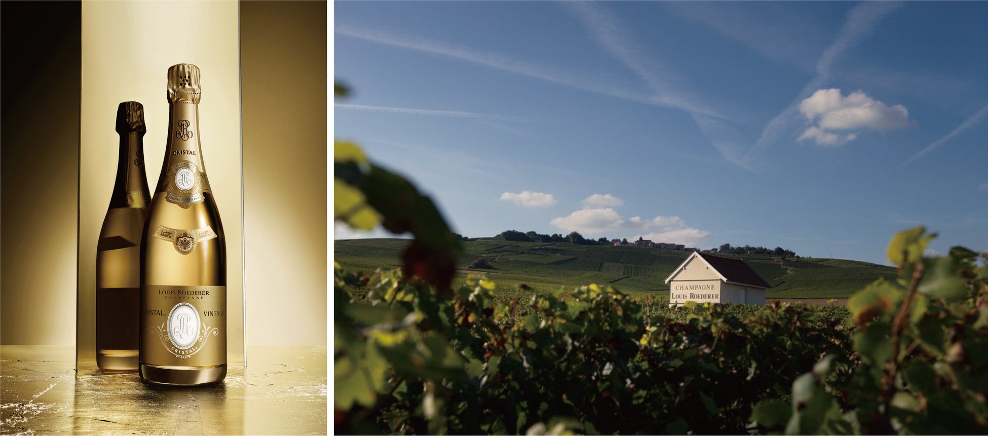 シャンパーニュの名門「ルイ・ロデレール」創業250周年を祝うメーカーズディナーを開催