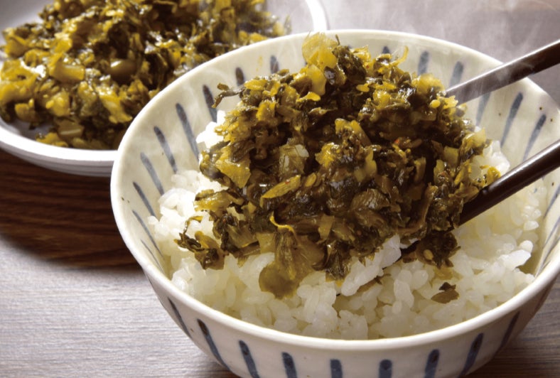 【JAF熊本】熊本・阿蘇で旬を味わう！「阿蘇たかな収穫体験と郷土料理ランチ」～たっぷり10kgのお持ち帰り有！～