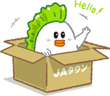 「魚の日」限定セール開催 「ＪＡタウン」で「剣先イカ」や「あわび姿煮」など 約140商品を特別価格で販売