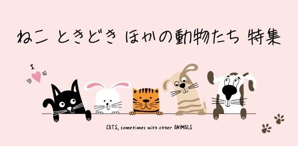 【大丸梅田店】＼バレンタイン後も楽しみがいっぱい♡／ねこ ときどき ほかの動物たち特集　@お菓子なパレード