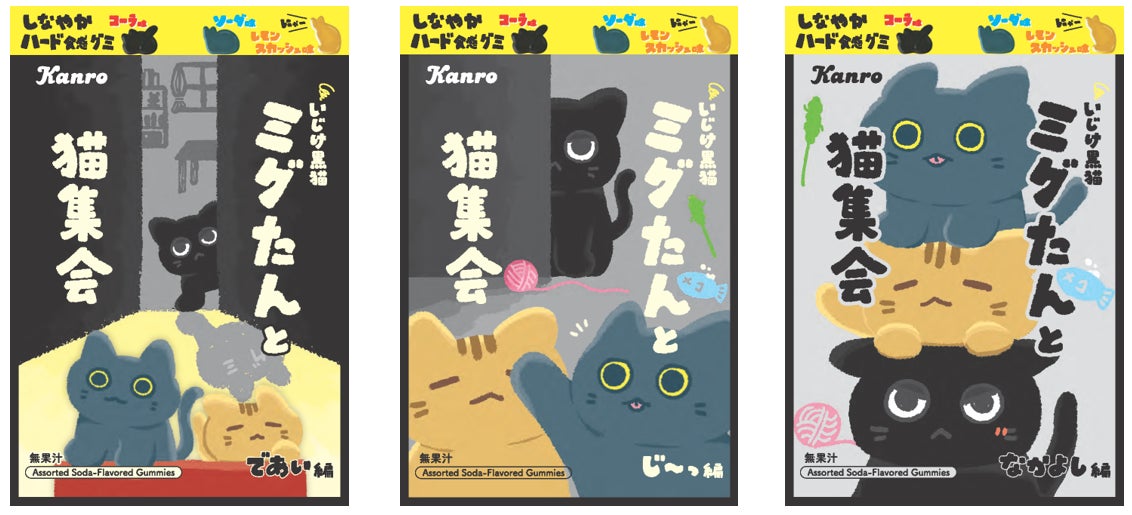 【期間・数量限定】旬が到来、高知名産「土佐文旦」販売開始―県外流通が少ない“幻の柑橘”を老舗農園「みかん家にしごみ」から産地直送