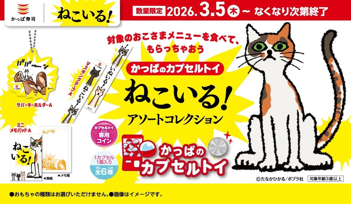 あれ？！待合室にも？！タッチパネルにも？！シリーズ累計20万部越え！迷作絵本『ねこいる！』の世界観が楽しめるかっぱのカプセルトイに「ねこいる！ アソートコレクション」が初登場！