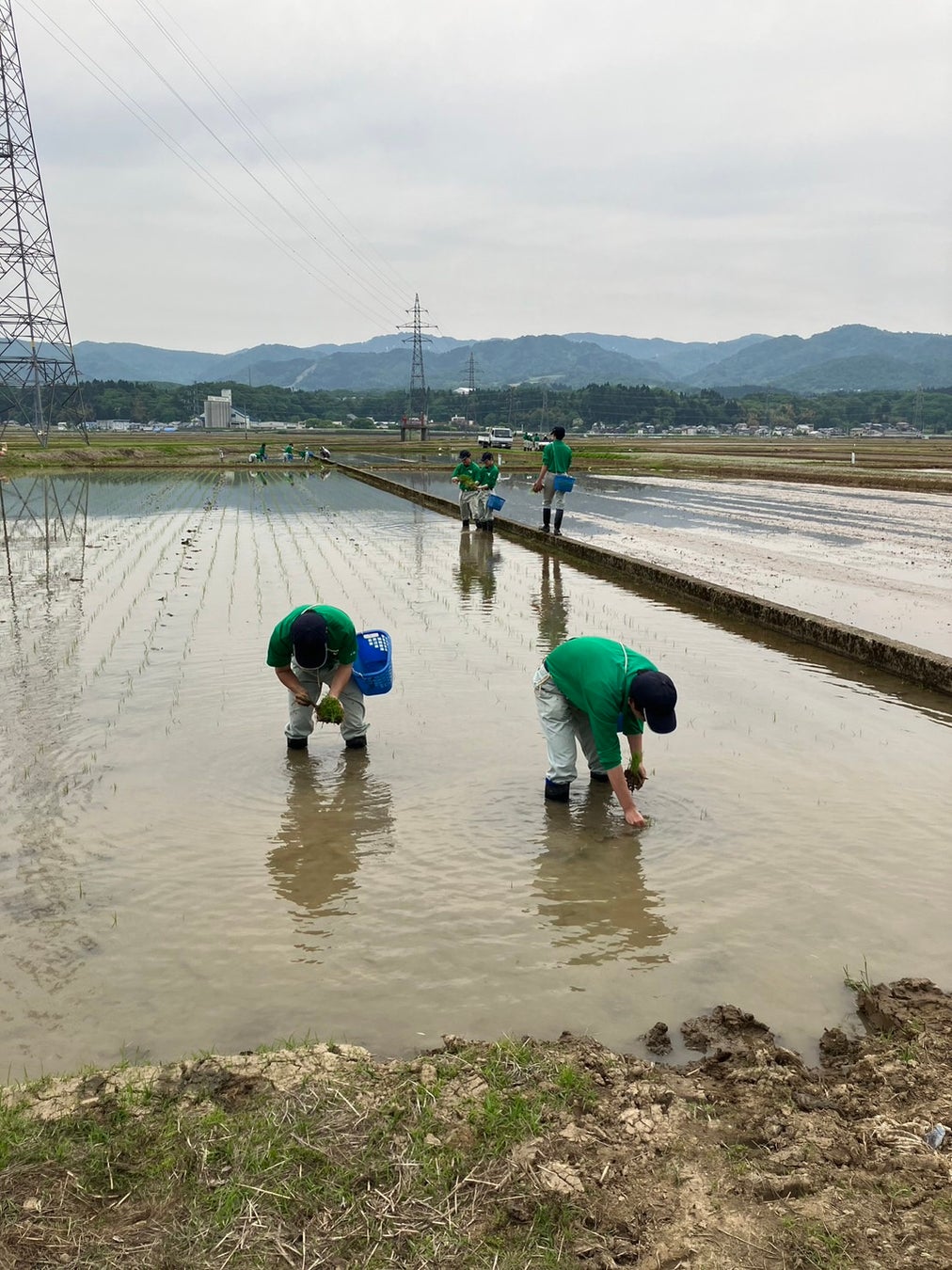長岡農業高校生が手がける「〇結（えんむすび）」