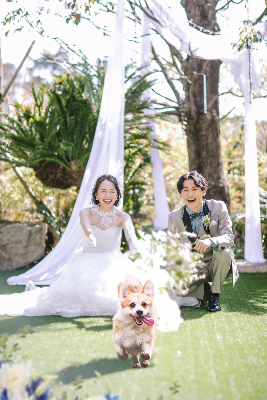 【ペットも“家族”の時代へ】ミュゼ四ツ池、ペットと叶える結婚式「Withペットプラン」提供開始