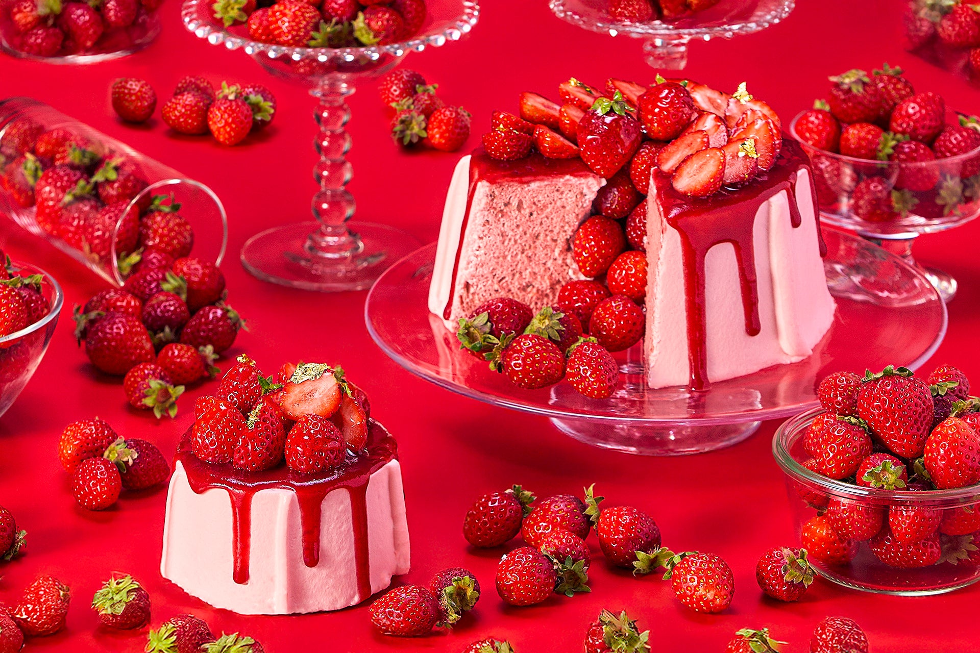 【木村屋總本店】<新商品>春のジャンボむしケーキ「ミルク珈琲」「とちおとめ苺」「抹茶」が登場。新商品8種類を3月1日より関東近郊のスーパーで発売!