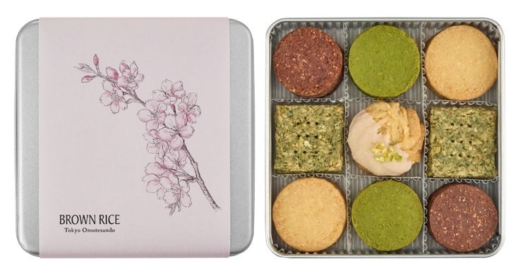 早咲きの「大漁桜」の名所で、春の味覚と体験を。鈴廣かまぼこの里「桜まつり」