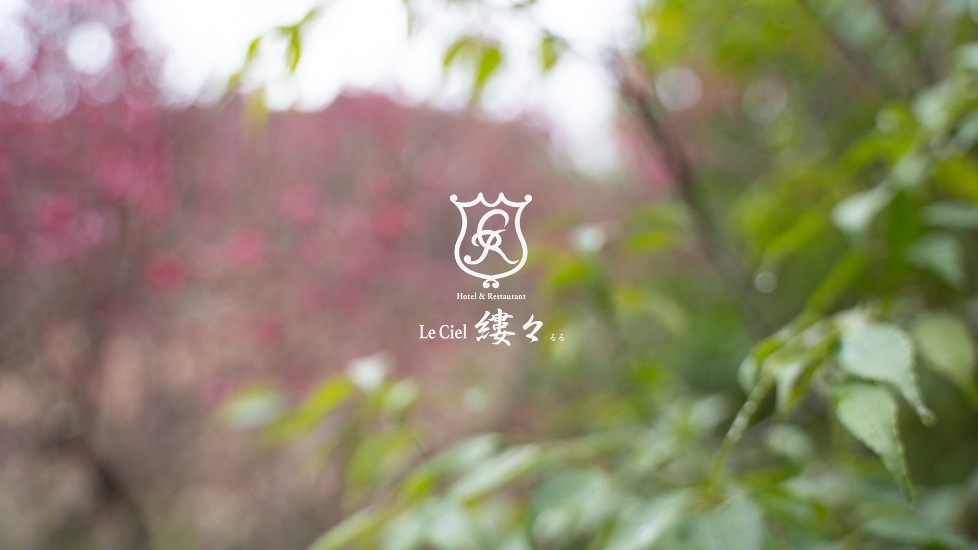 【ホテル日航大阪】ランチ＆ディナーブッフェ『春香るシーフードフェア』を3月1日（日）より開催