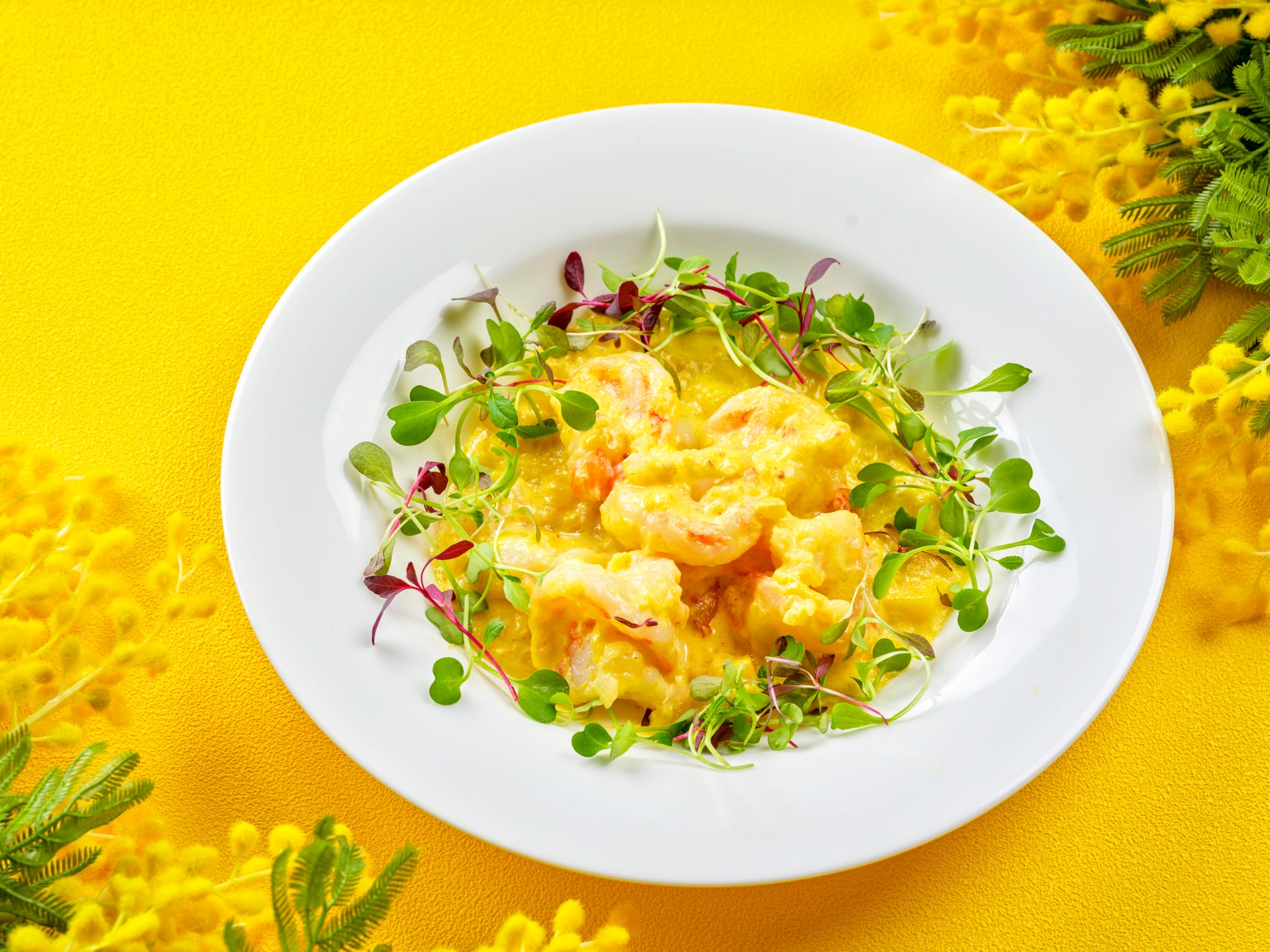 【都ホテル 尼崎】「国際女性デー｜HAPPY WOMAN FESTA 2026」女性の#HAPPYを応援　ハッピーイエローを取り入れたメニューや宿泊プランを販売