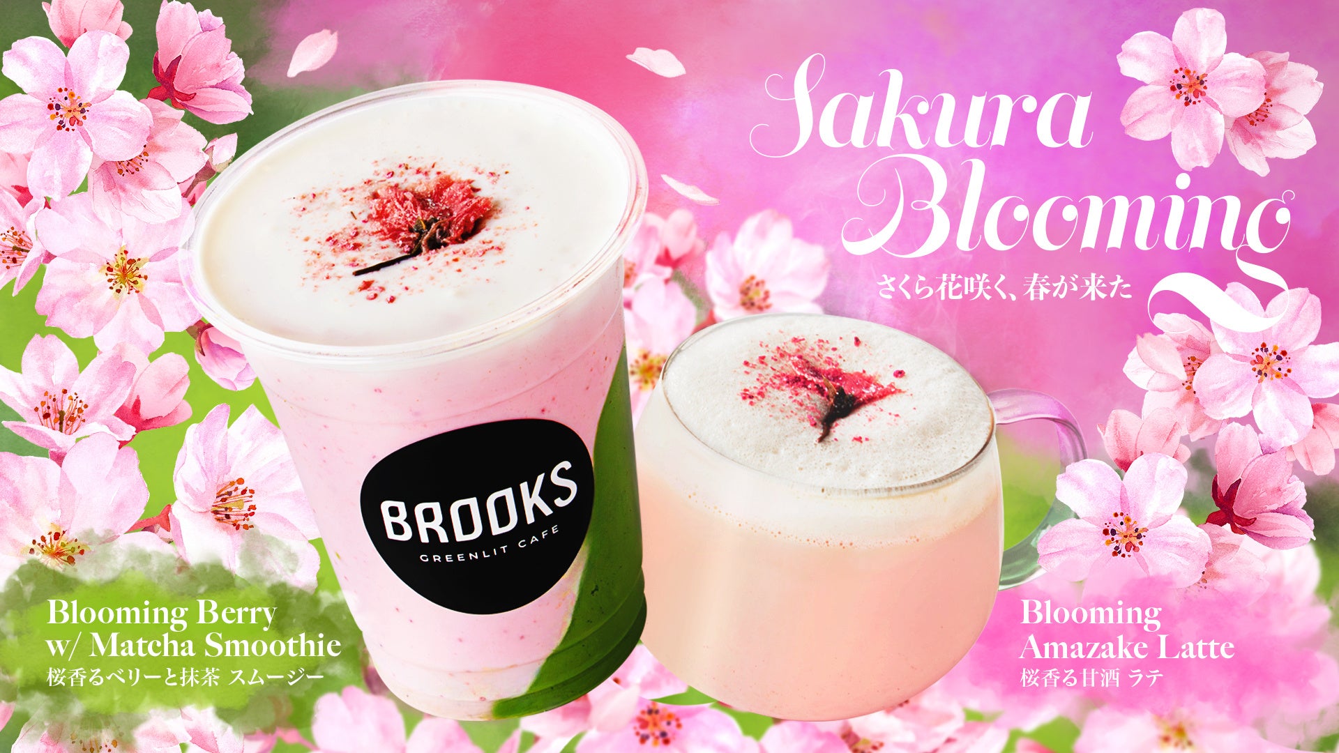 【南青山でお花見ピクニック】”飲む桜餅”スムージーが登場！桜×抹茶×甘酒のグラデーションが楽しめる春限定の発酵ドリンクが2月28日（土）より新登場！