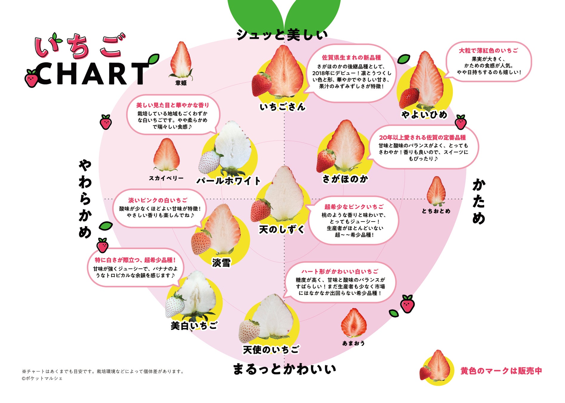 赤・白・ピンク！佐賀のいちご8品種を食べ比べ！！大人気イベントが3年ぶりに帰ってくる！！