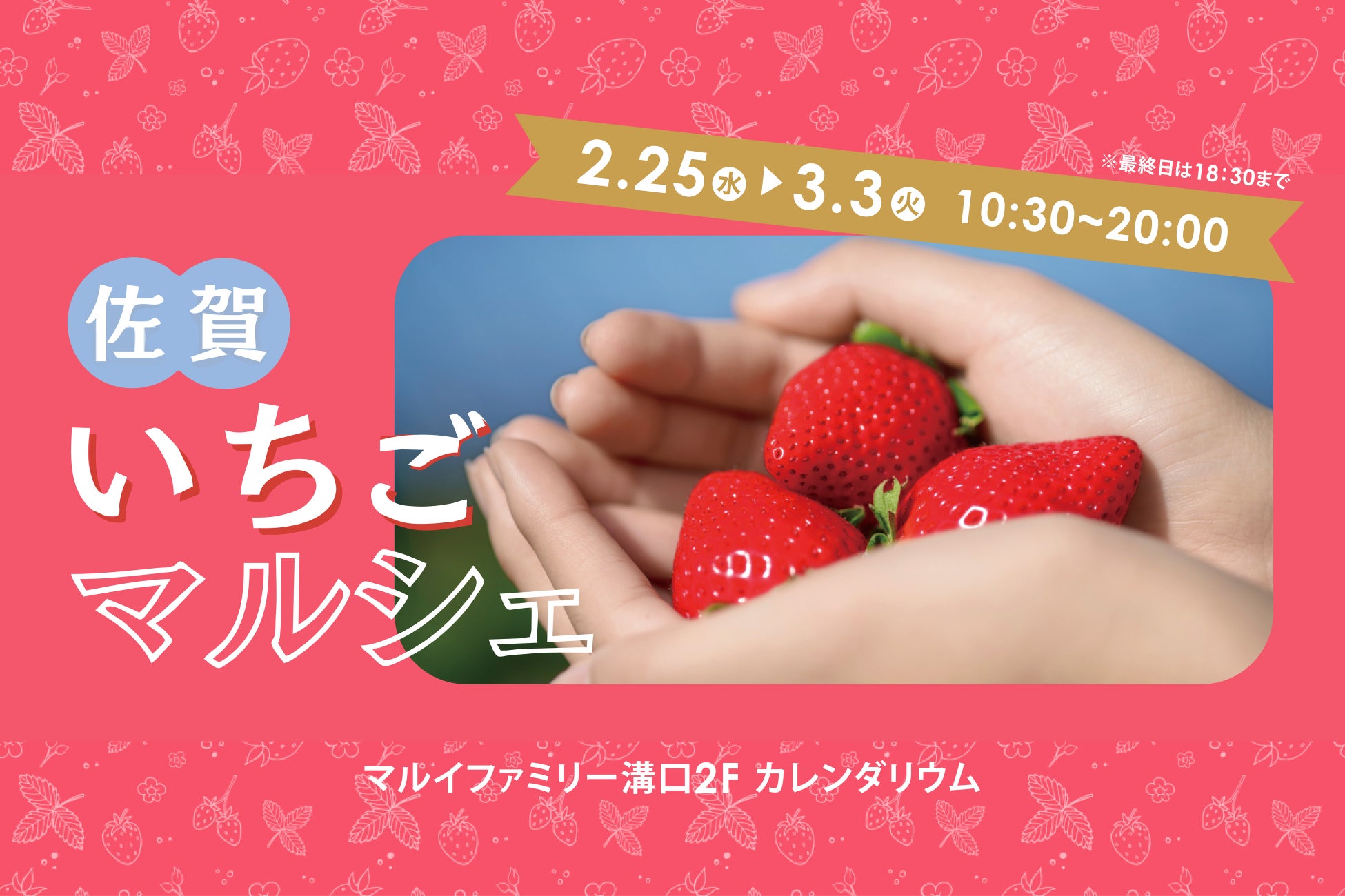 佐賀県と連携し、旬のブランドいちご8銘柄が集結する「佐賀いちごマルシェ」を開催