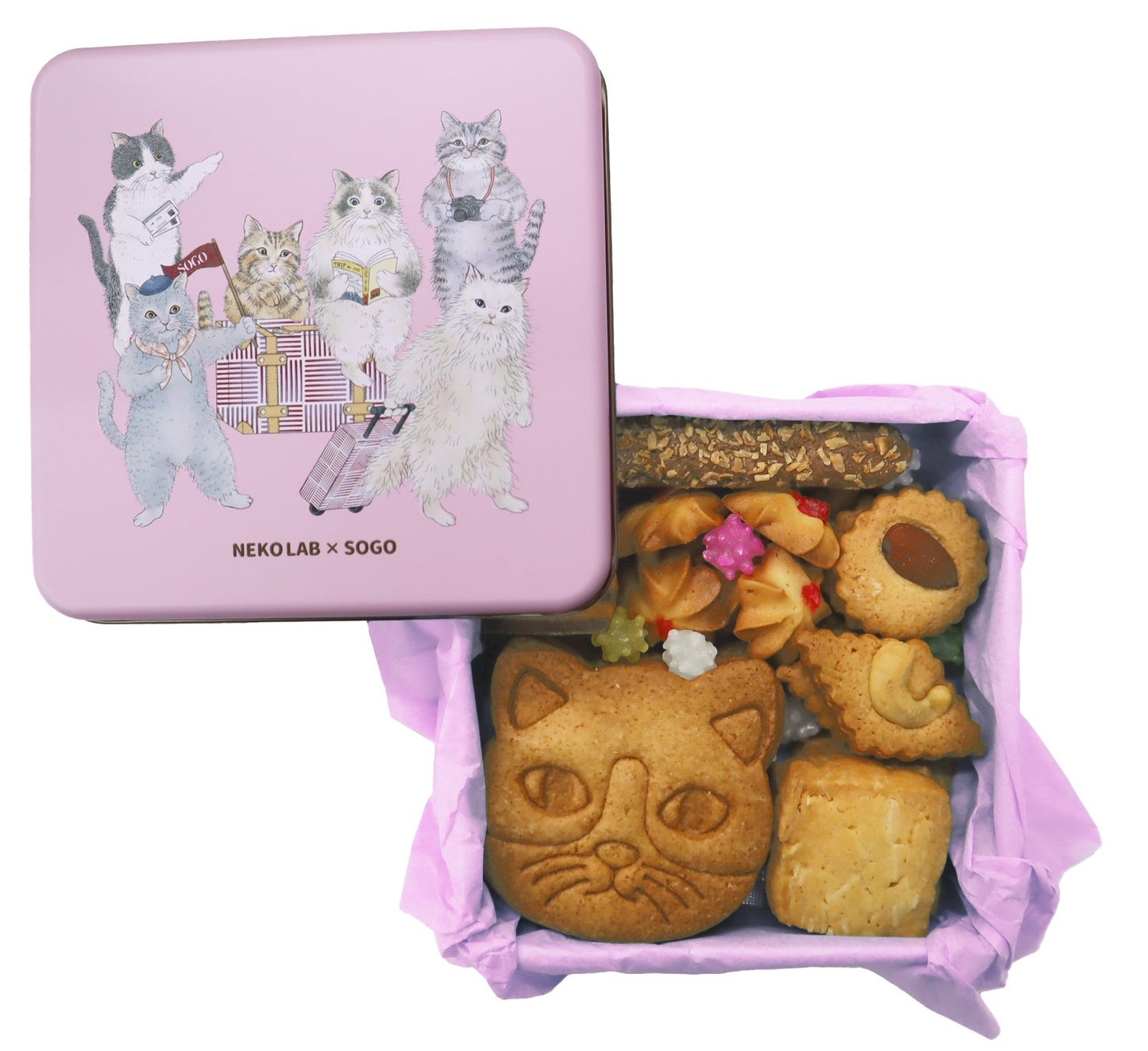 ”猫ブーム到来”　癒しの愛されキャット企画開催中