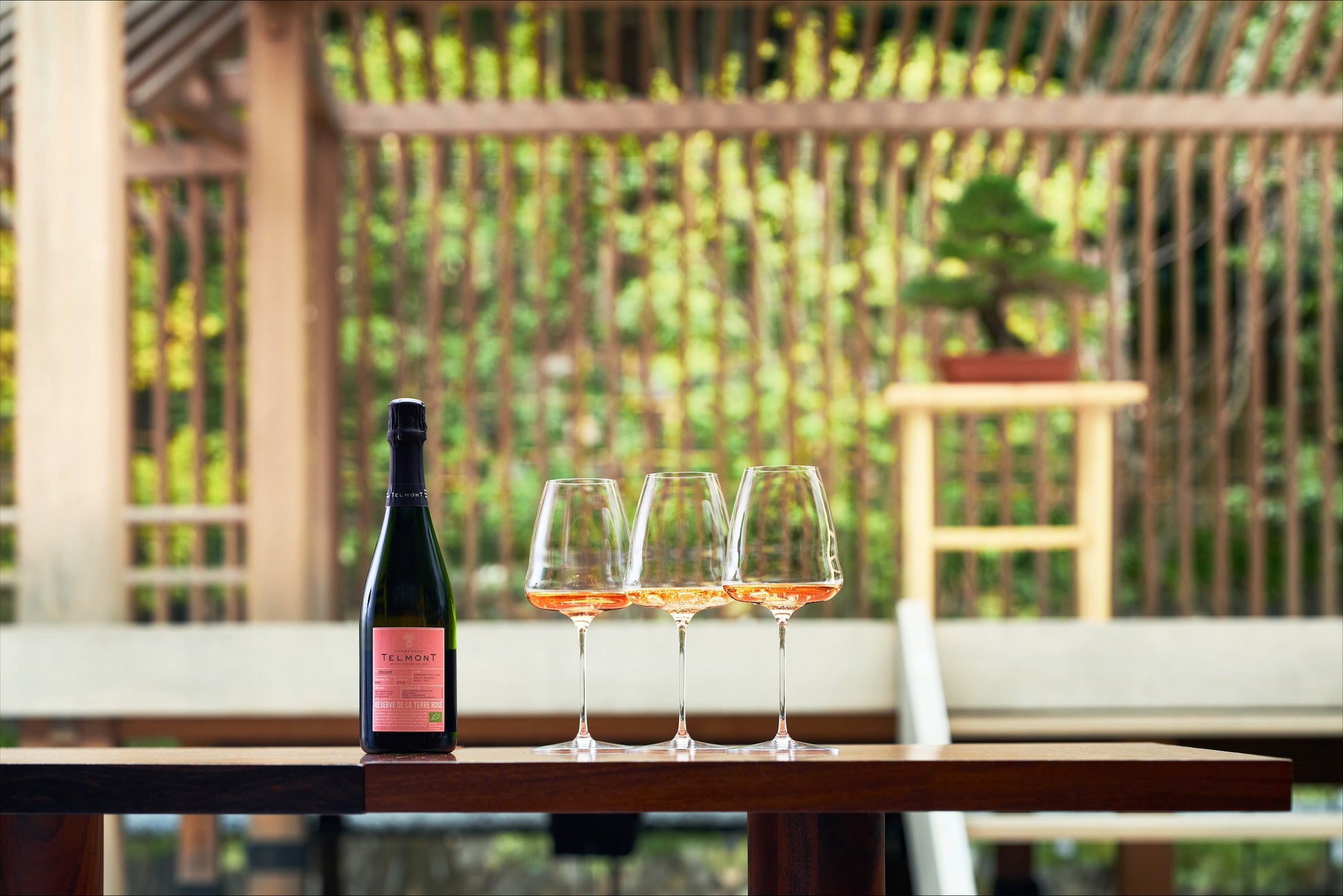 【バンヤンツリー・東山 京都】バンヤンツリー・東山 京都 × テルモン 京都の静寂に響く、伝統と革新の調べ