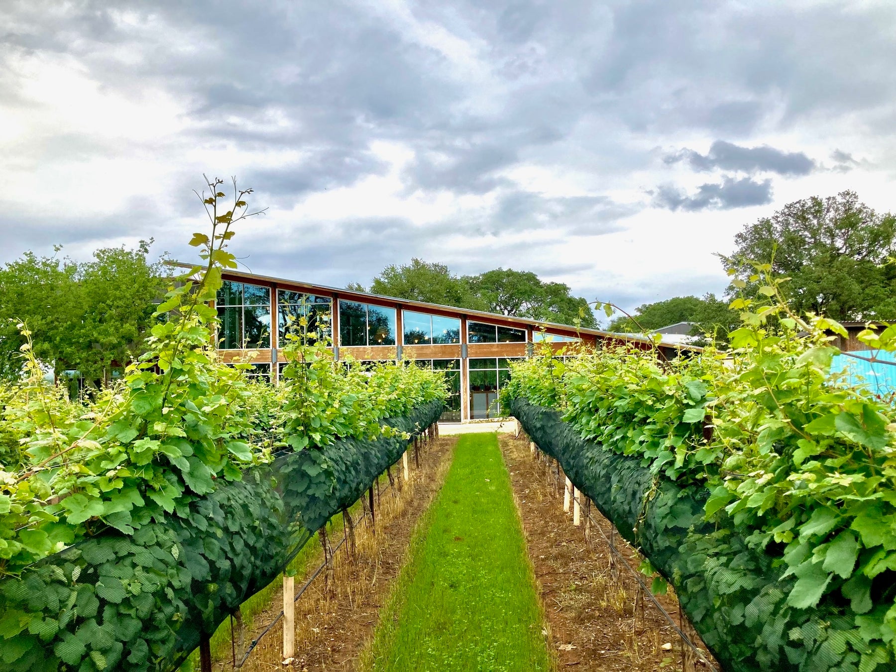 大分県のソウルフード「りゅうきゅう」を製造販売する絆屋が、クロダイを使ったりゅうきゅう味仕立てのまぜ飯の素『殿様くろ鯛まぜ飯の素』を2月より新発売