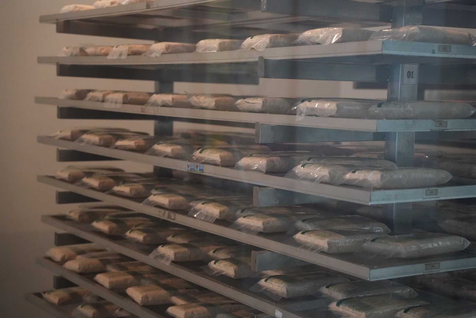 津南醸造の代表が、インドネシア「Kopti Rumah Tempe Indonesia」を表敬訪問しました