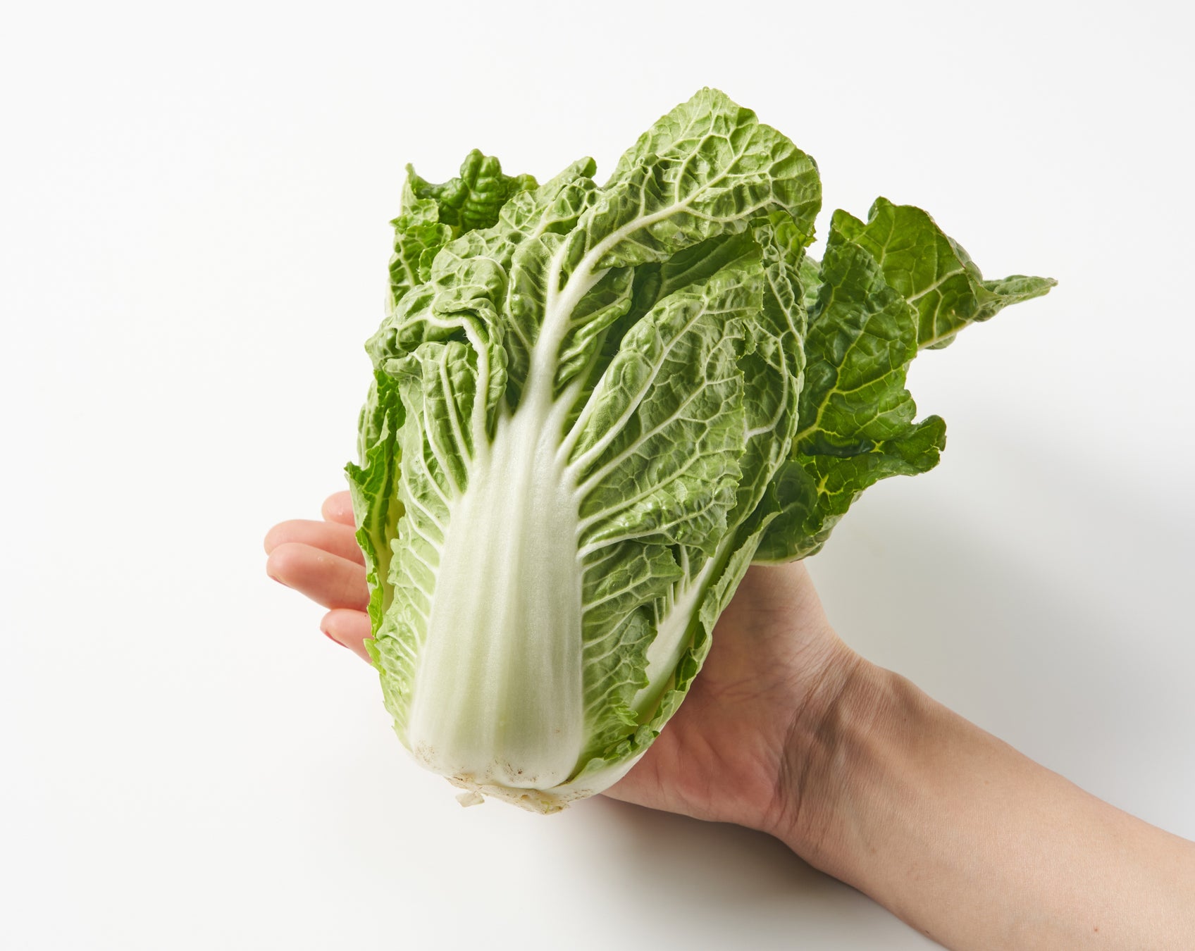 【猿田彦珈琲】 2026年初夏、神奈川県に「サウスウッド センター南店」OPEN！