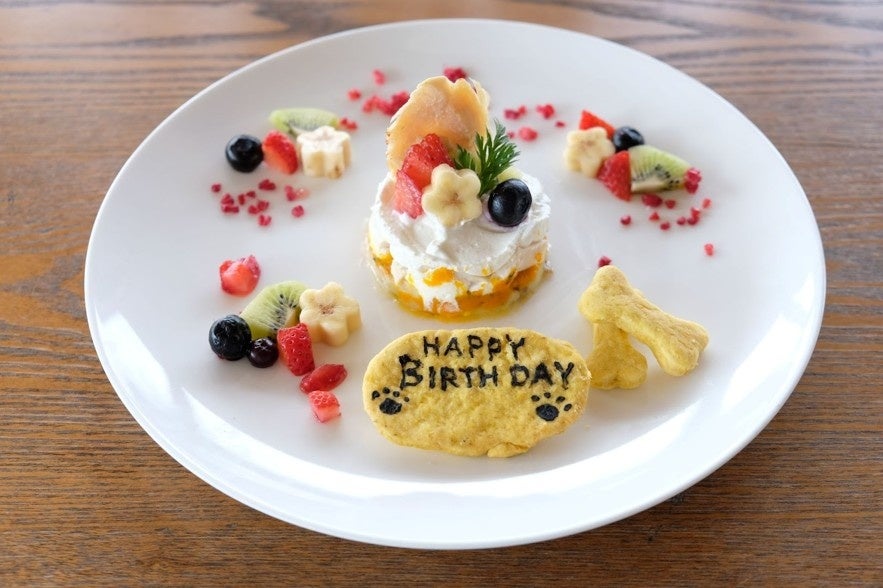 愛犬の健康を想う飼い主へ。湘南・茅ヶ崎【ナチュラルフーズ柳島キッチン】が無添加“ごちそうケーキ”「ワンちゃんご褒美プレート」を3月10日発売！