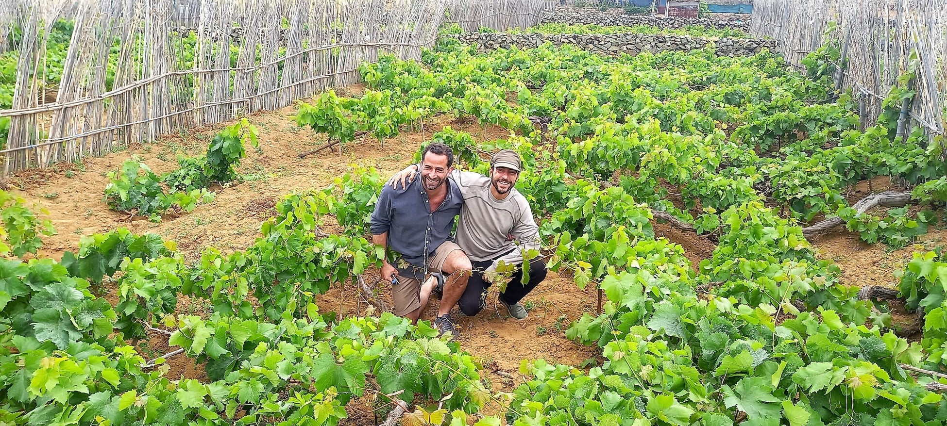 地域リブランディングの仕掛け人アントニオ‧マサニータの新しい挑戦、「マデイラ諸島」ワインが日本上陸