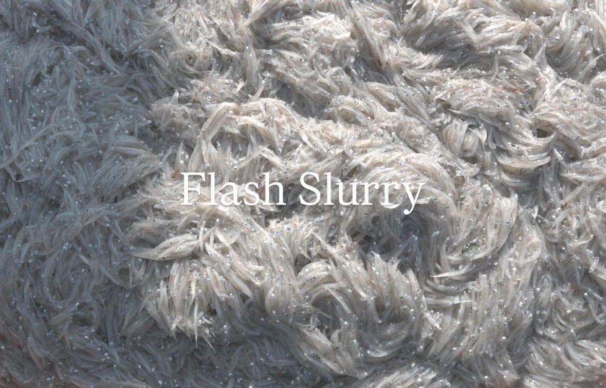 大阪湾で獲れる最高鮮度の生シラス「輝白 -KIHAKU-」誕生。