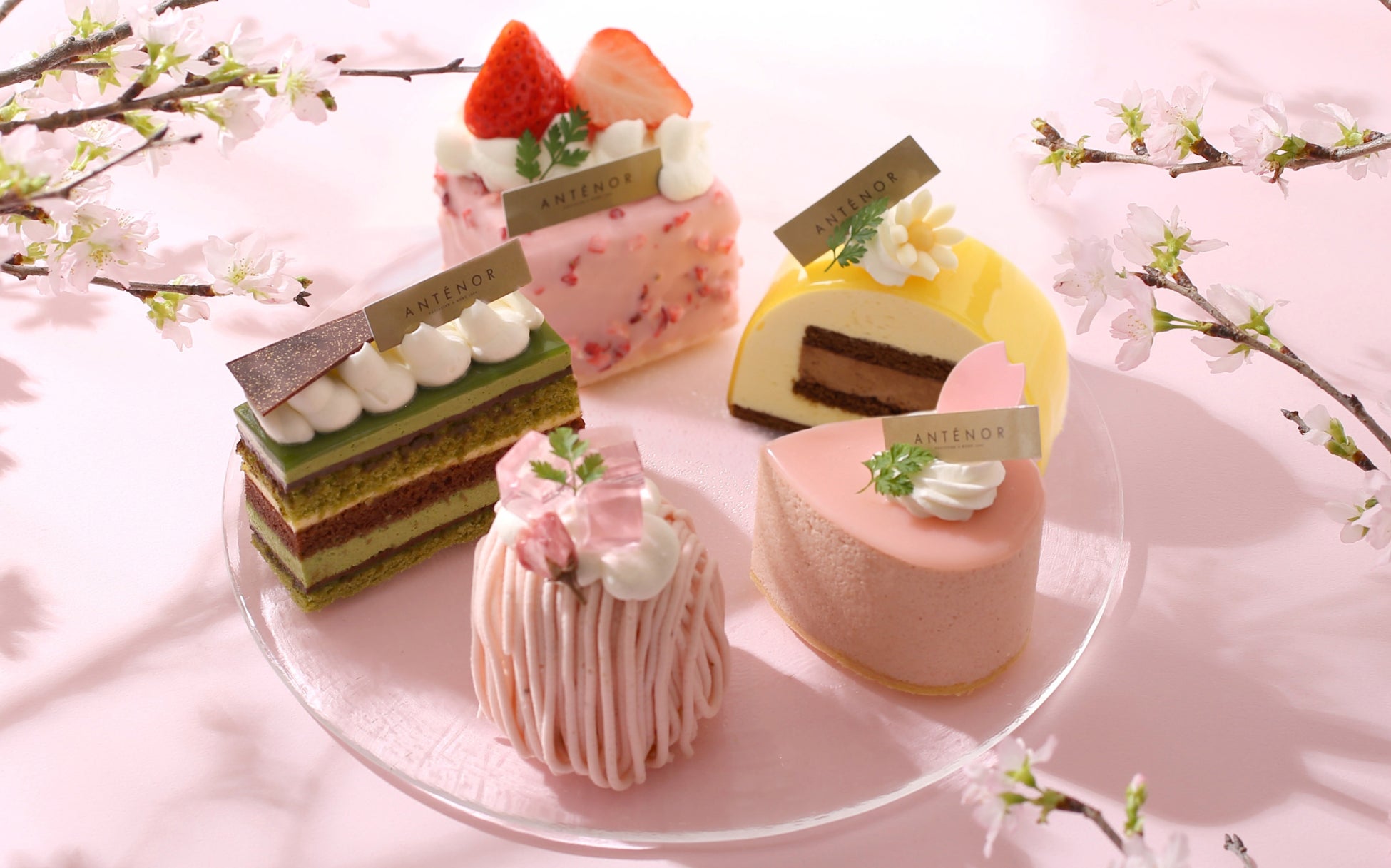 【アンテノール】桜咲く“お花見スイーツ”で春色アフタヌーンティー 華やかに香る桜スイーツや、爽やかなお茶スイーツなど。